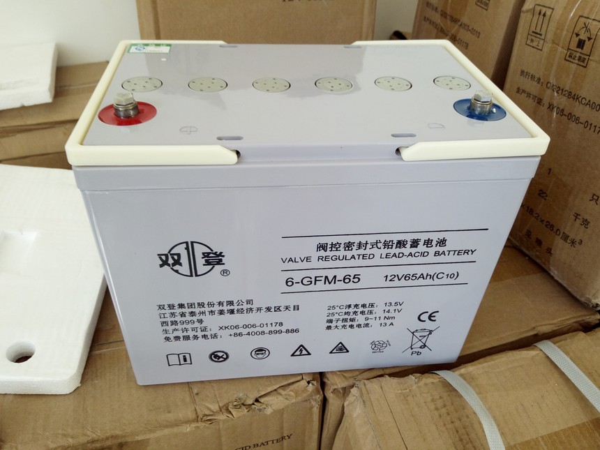 ˫��12V65AH.jpg