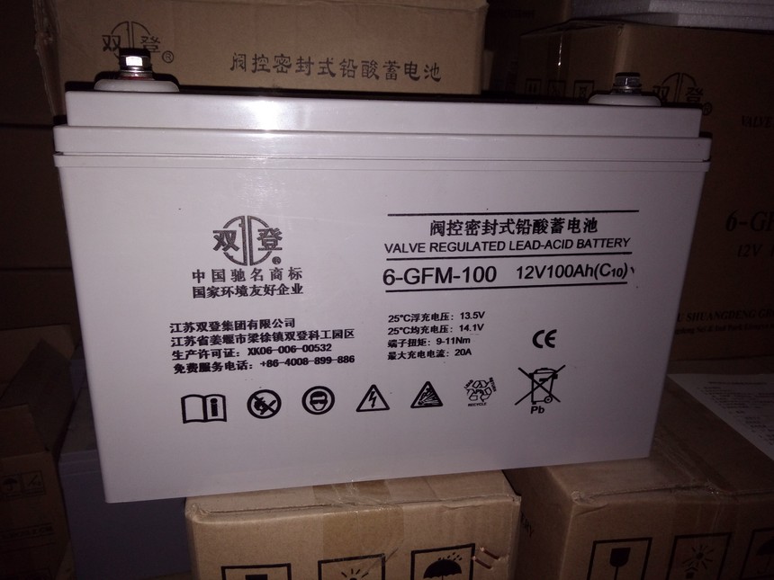 ˫��12V100AH..jpg